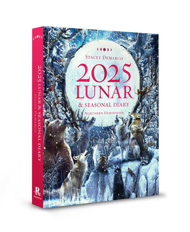 2025 Lunar and Seasonal Diary - Northern Hemisphere by Stacey Demarco - Spiral Circle