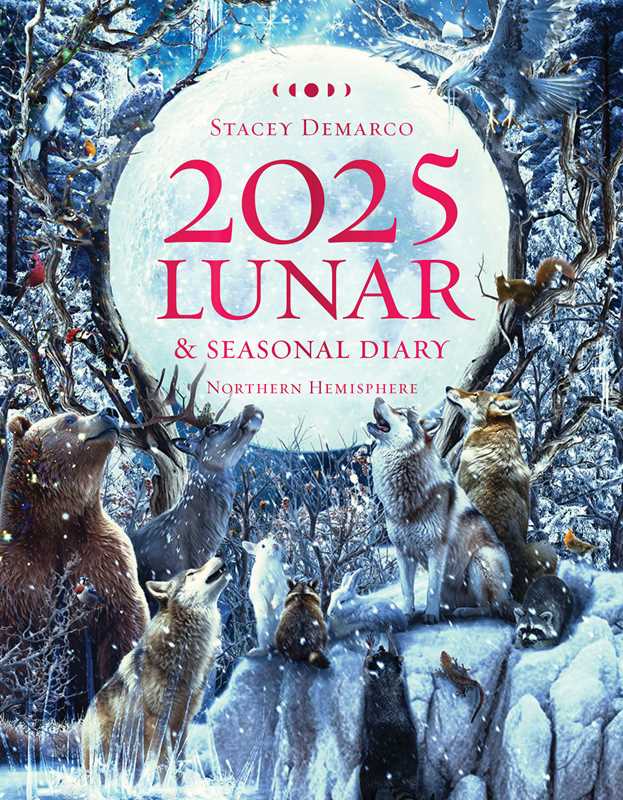 2025 Lunar and Seasonal Diary - Northern Hemisphere by Stacey Demarco - Spiral Circle