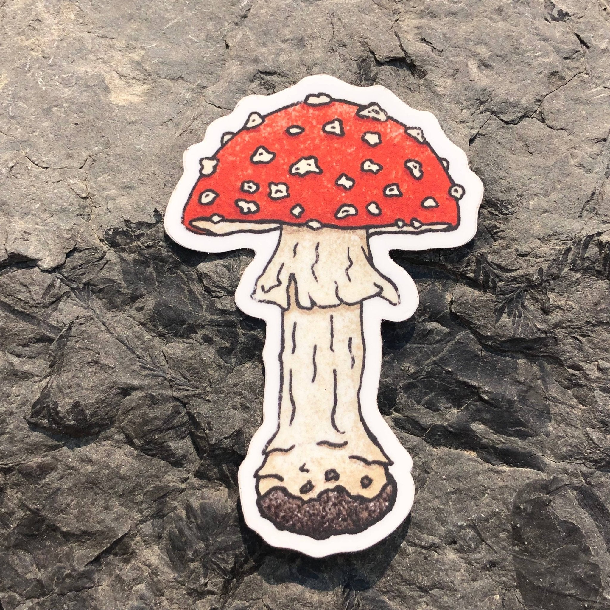 Fly Agaric Mushroom - Vinyl Sticker - Spiral Circle