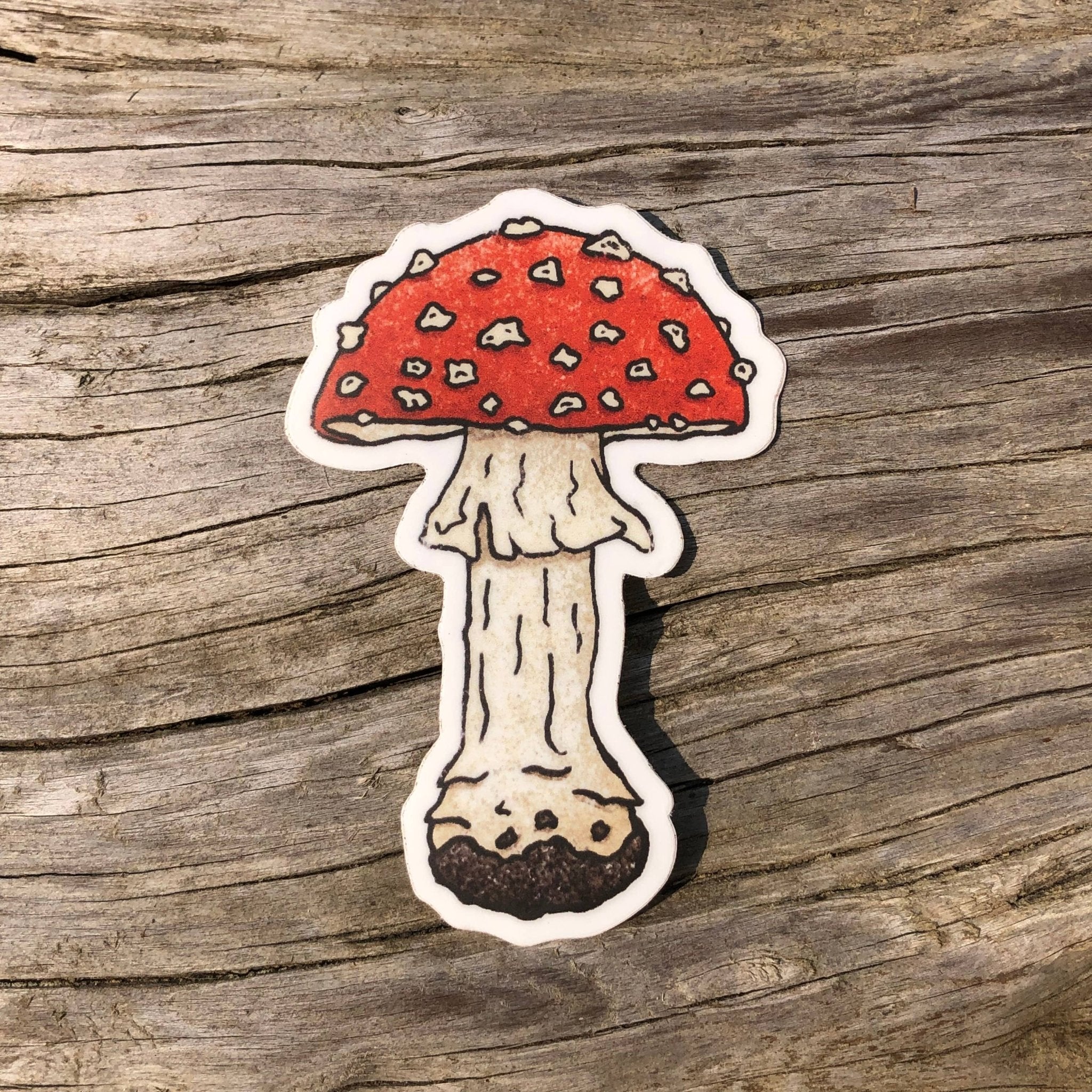 Fly Agaric Mushroom - Vinyl Sticker - Spiral Circle