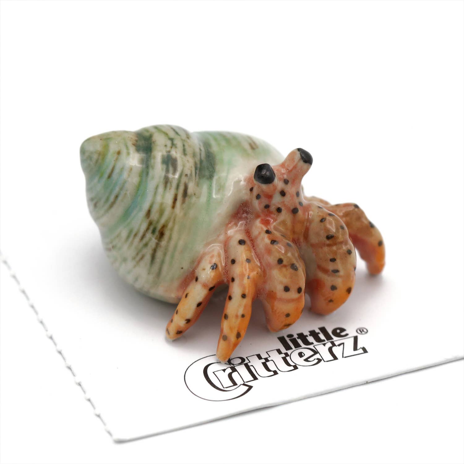 Hermit Crab | Porcelain Miniature - Spiral Circle