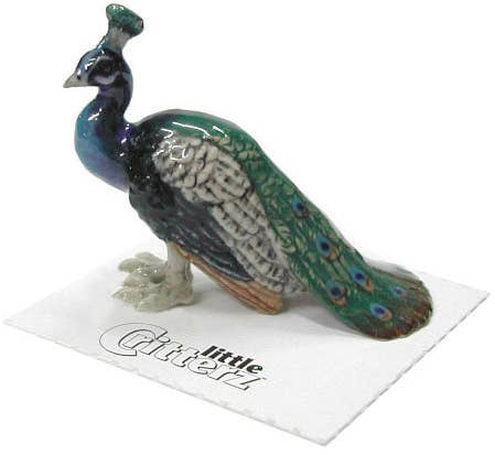 Shimmer Peacock Porcelain Miniature - Spiral Circle