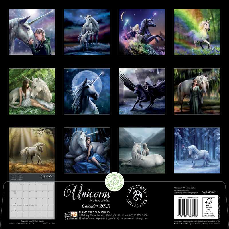 Unicorns by Anne Stokes Wall Calendar 2025 (Art Calendar) by - Spiral Circle