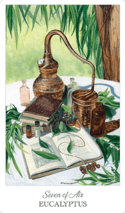 The Herbcrafter's Tarot - Spiral Circle