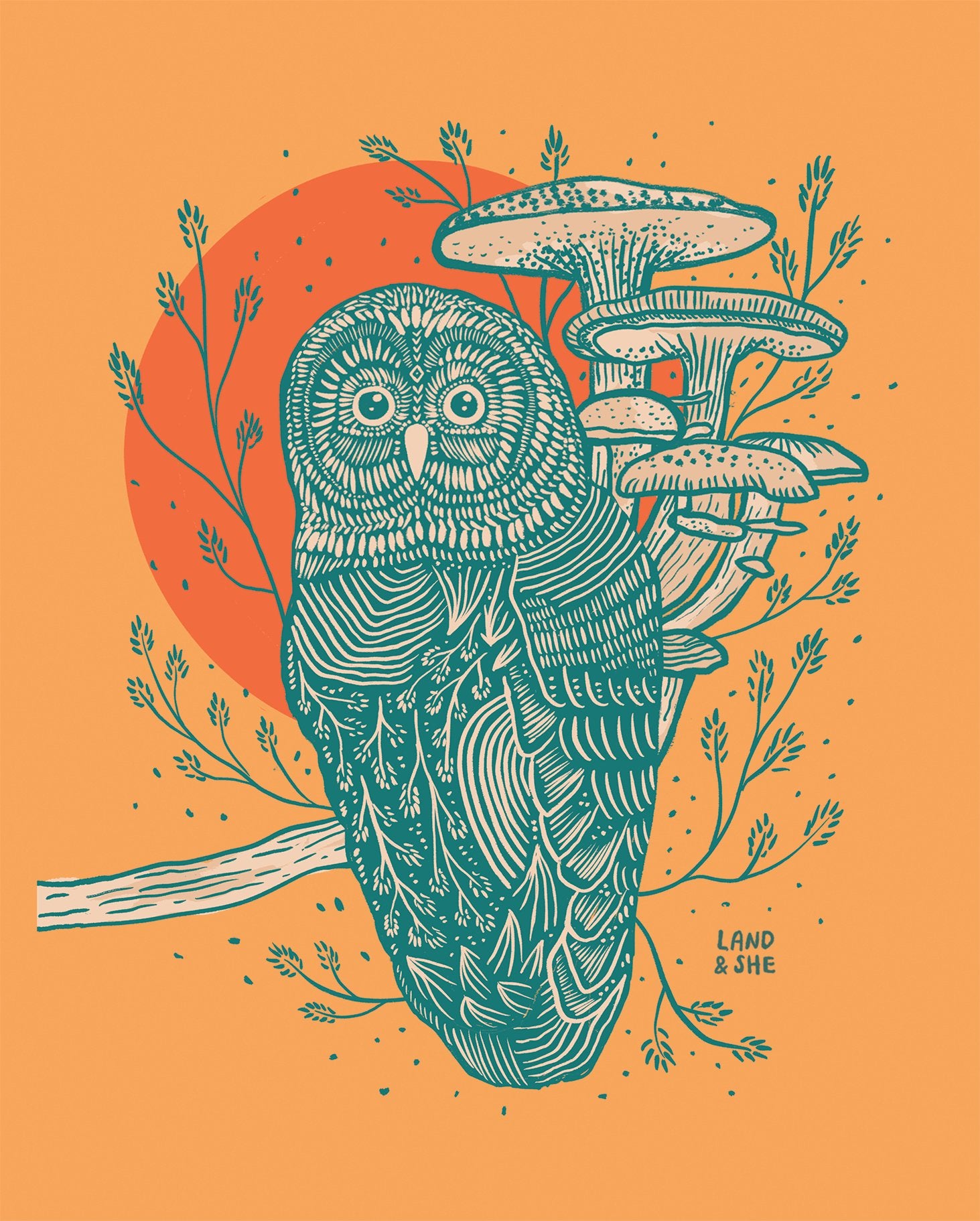 Wild Mushrooms & Owl Art Print - Spiral Circle